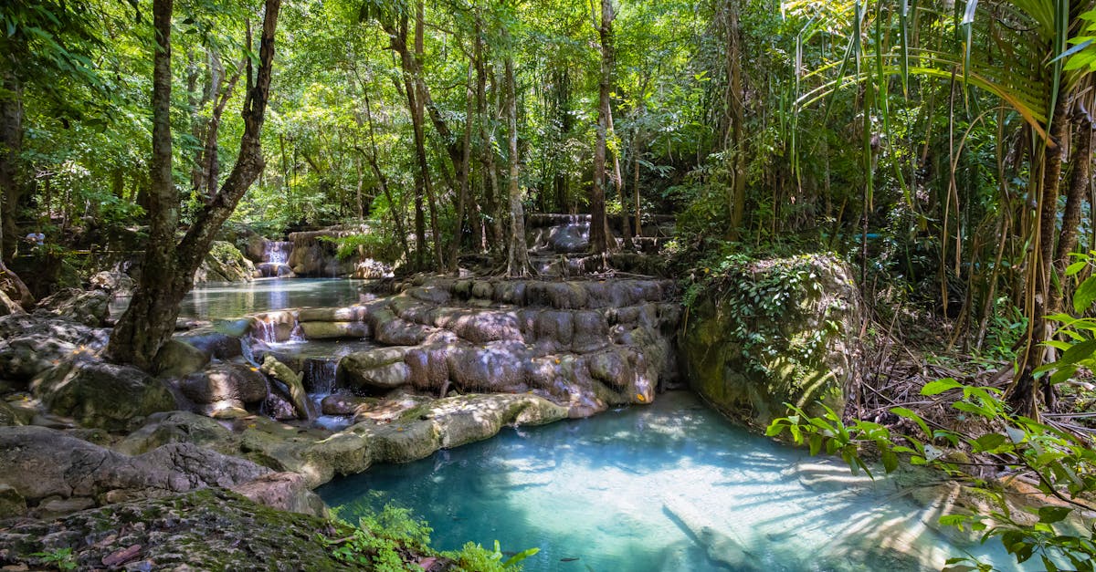 Explore the serene beauty of a lush Thai rainforest with stunning waterfalls cascading into tranquil pools.