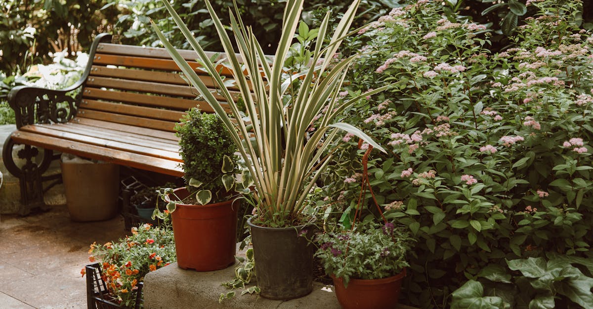 A serene outdoor scene with a wooden bench surrounded by various potted plants in a lush garden.